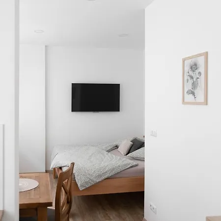 Apartment Samoobsluzne Evicenstvo *